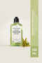 Verbena Perfumed Shower Gel, Verbena Flower Extract, 500 ml