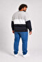 Large Size Crew Neck 3Ip Sweat Chao Ku 25721 Gray - 3