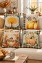 Velvet Texture Autumn and Halloween Special Pumpkin Patterned 4-Piece Throw Pillow Set - 3