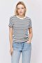 Women's Contrast Collar Striped T-Shirt - 3