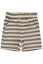Striped 6-18 Months Shorts - Brown