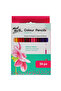 Signature Dry Paint Pen Set of 36