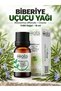 Rosemary Essential Oil 10 ml - Rosemary Essential Oil 100% Pure and Natural Revitalizing Aromatherapy Oil