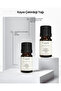 Apricot kernel oil 20 ml 100% natural pure - 2