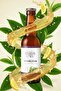 5'li Probiyotik Kombucha 330 ml - 3
