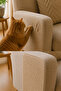 20X50Cm Felt Cat Sofa Couch Scratching Furniture Protector – Adhesive Furniture Corner Protection Carpet - 3