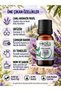 100% Pure Hybrid Lavender Essential Oil 10 ml |   Lavandin Grosso |   Incense Burner, Diffuser and Aromatherapy Oil |   Fresh Floral Aroma - 3