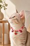Cat and Small Breed Dog Collar – Adjustable – Beaded – Figured – with Bell – Colorful Collar - 2