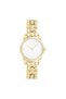C11631