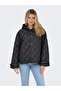Women's Spread Collar Button Closure Jacket - Juliet