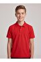 2-Pack 100% Cotton Polo Collar Short Sleeve T-Shirt for School and Daily Use - 5