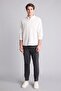 Men's Canvas Trousers H4809Ax/Ar9 Anthra