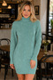 Women's Long Sleeve Turtleneck High Neck Front Back Hairnet Thessaloniki Knit Patterned Links Detailed Stylish Elegant Casual Mint Knitwear Mini Tunic Dress - 5