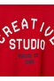 Printed Boys' Thick Sweatshirt - 2