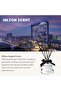 فلورييل - طقم موزع عطر بالزهور/التوت والبطيخ/50 مل/زيت عطري مع أعواد نشر العطر - 5