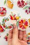 Fruits and Flowers 30 Pieces Sticker Pack Agenda Notebook Laptop Botanical Sticker Set - 6
