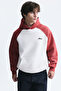 Color Blocked Hooded Sweatshirt - 3