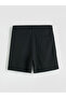 Lcw Vision Black Regular Fit Men's Shorts - 6
