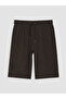 Southblue Brown Regular Fit Men's Shorts - 5