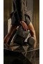 Mini Crisscross Straps and Shoulder Bag in Black for Women with Two Compartments and Phone Pocket—Casual and Stylish Design CANEDR08 - 4