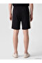 Xside Black Regular Fit Men's Shorts - 4