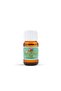 Filece Nettle Seed Oil 20 ml - 3