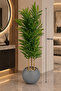 شجرة اورق السرخس بطول 150 سم