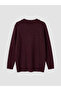 Lcw Everyday Women's Plum Crew Neck Stone Knit Sweater - 6