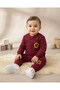 Baby Boy Winter 3 Threaded Threaded Lion Embroidered 6-9-12-18-24 Months 2-Piece Top and Bottom Set