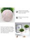 2PCS Mini Artificial Plants – Faux Plants in Pots with Zero Maintenance, Home Office Décor with Eco- - 6