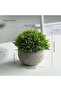2PCS Mini Artificial Plants – Faux Plants in Pots with Zero Maintenance, Home Office Décor with Eco- - 2