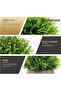 2PCS Mini Artificial Plants – Faux Plants in Pots with Zero Maintenance, Home Office Décor with Eco- - 4