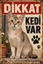 Caution There Is a Cat Singapore Cat Retro Metal Wall Sign Decorative Plate 20X30Cm