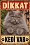 British Longhair Beware of the Cat Metal Sign Retro Decorative Wall Sign 15X20Cm