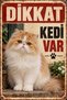Exotic Longhair Caution Cat Exists Retro Metal Wall Sign Decorative Cat Sign 15X20Cm