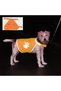 Night Vision Reflective Fabric Velcro Dog Vest Medium (5671)