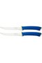 Felice 2-Piece Steak Knife Set with Stainless-Steel Blades and Blue Polypropylene Handles - 3