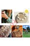8 Kinds Premium Tiny Seashell Mix, Including Sea Shells, Sea Snails and Starfish, Shells for - 6