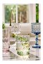 Savannah Cut Patterned Soda Glass Tumbler Set of 4 - 5