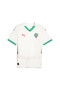 Morocco 2025 Away Jersey Men - 6