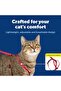 Easy Walk Cat Harness with Bungee Lead, Comfortable Control with Adjustable Fit, Includes St - 3