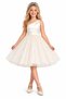 Girl's One Shoulder Short Dreamy Tulle Special Occasion Dress with Pearls
