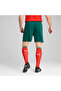 Portugal 2025 Shorts Men - 4