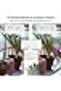 Automatic Watering System,Plant Watering Devices,Dual pump system,Automatic Plant Waterer Indoor wit - 2