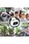 Automatic Watering System with Self Plant Watering Devices,Indoor Watering System for Potted Plants - 6