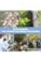 Automatic Drip Irrigation System, 20m Garden Watering Kit with PE Tubing, Adjustable Spray Nozzles, - 5