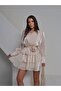 Long Sleeve Chiffon Mini Dress