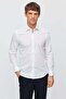 Men's Slim Fit Shirt - 2