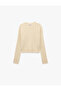 Long Sleeve Crew Neck Crop Hair Knit Textured Knitwear Sweater - 3