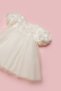 Girl's Dress with Cream Rose Textured Tulle Skirt - Dara - 4